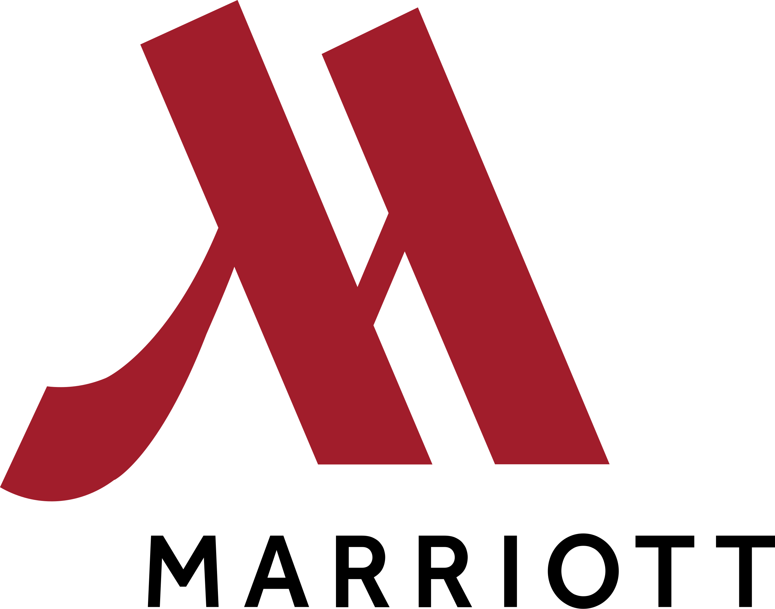 Partner 25 Logo